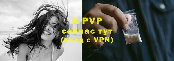 стаф Заводоуковск