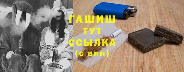стаф Заводоуковск