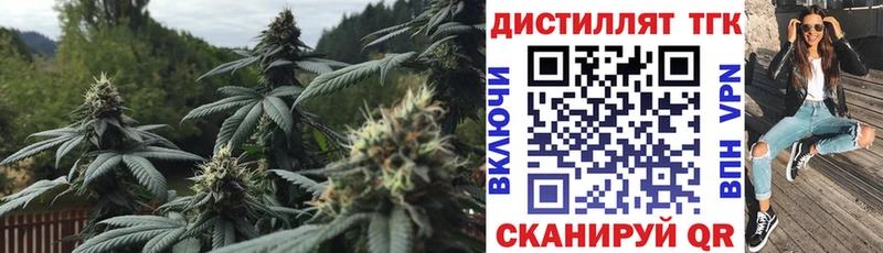 KRAKEN маркетплейс  Зима  ТГК жижа 