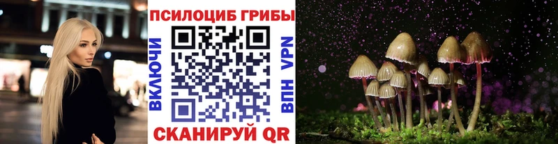 маркетплейс наркотические препараты  Зима  Псилоцибиновые грибы Cubensis 