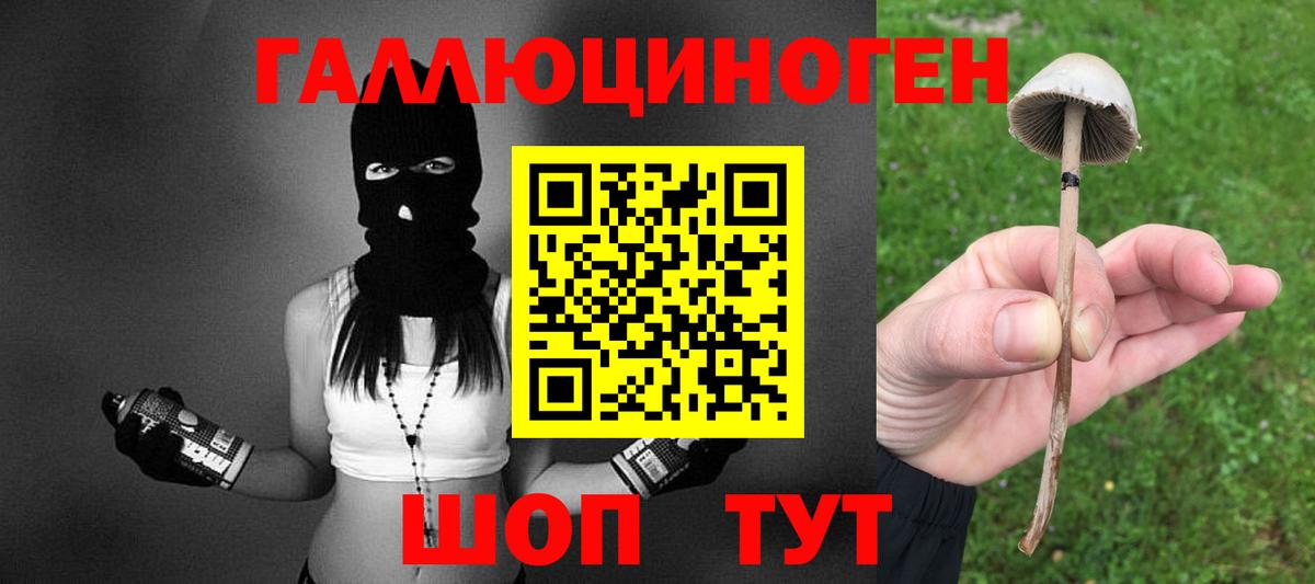 Псилоцибиновые грибы MAGIC MUSHROOMS  Вход с VPN  Зима 