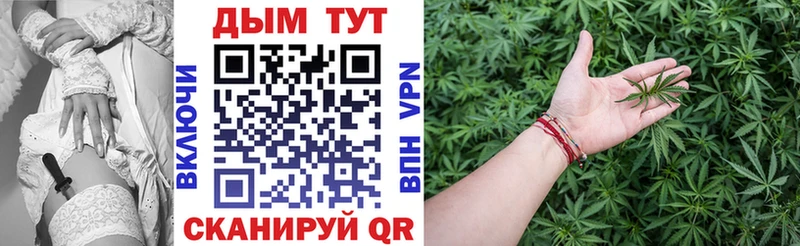 Конопля SATIVA & INDICA  Зима 
